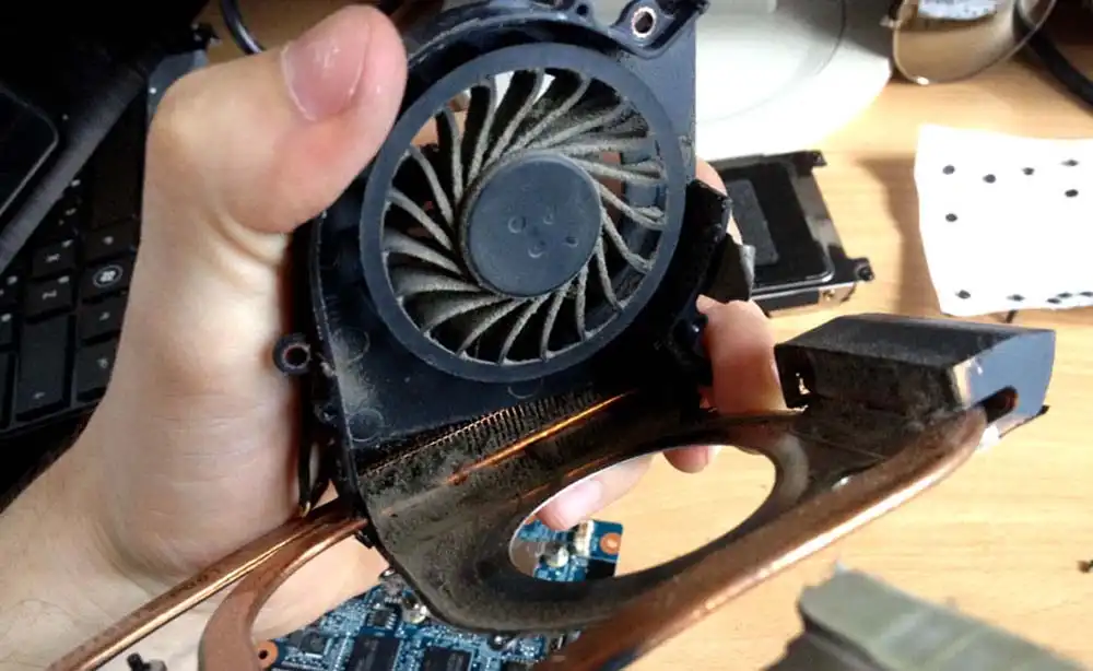 Чистка ноутбука HP от пыли в Ставрополе | Замена термопасты