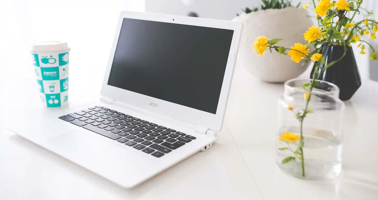 Ремонт ноутбуков Acer в Ставрополе