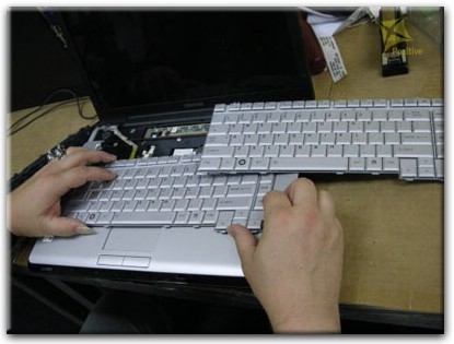 Ремонт клавиатуры на ноутбуке Toshiba в Ставрополе